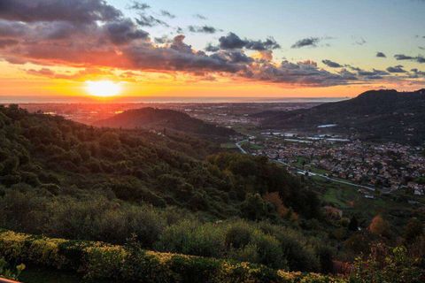 Villa i Massarosa, Lucca, Massarosa - € 3.600.000 | Ref: A1190RV49754-1070333 - foto 2