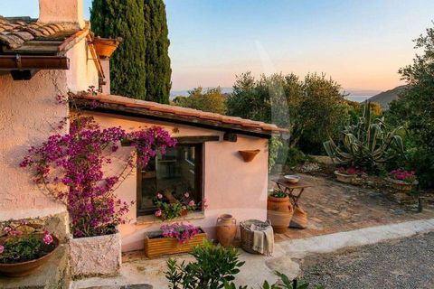 Villa i Monte Argentario, Grosseto, Monte Argentario - € 5.000.000 | Ref: A1190RV38672-1070459 - foto 12
