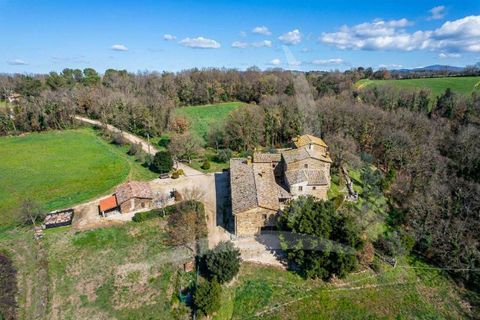 Farm hus i Todi, Perugia, Todi - € 1.190.000 | Ref: A1190RC98498-1070521 - foto 5