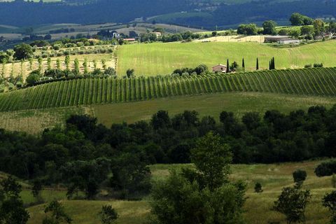 Farm hus i Scansano, Grosseto, Scansano - € 1.200.000 | Ref: A7631TA2014348A-1070691 - foto 1