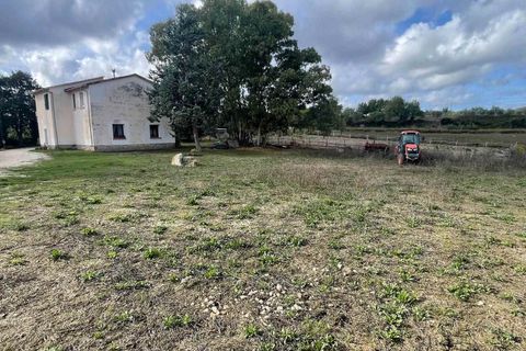 Farm hus i Scansano, Grosseto, Scansano - € 1.200.000 | Ref: A7631TA2014348A-1070691 - foto 4