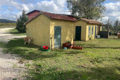 Farm hus i Scansano, Grosseto, Scansano - € 1.200.000 | Ref: A7631TA2014348A-1070691 - foto 6