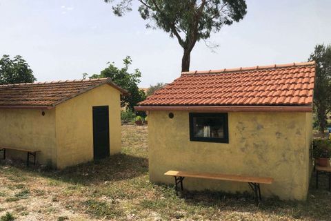 Farm hus i Scansano, Grosseto, Scansano - € 1.200.000 | Ref: A7631TA2014348A-1070691 - foto 7