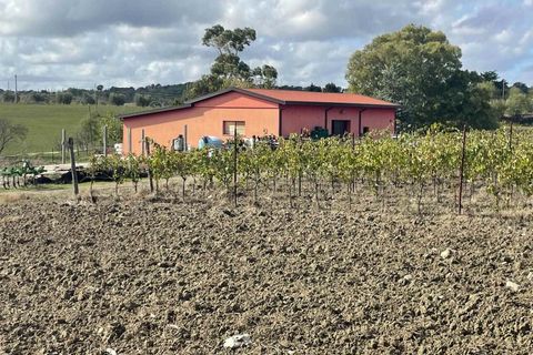 Farm hus i Scansano, Grosseto, Scansano - € 1.200.000 | Ref: A7631TA2014348A-1070691 - foto 8