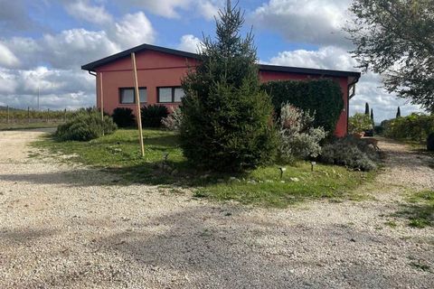 Farm hus i Scansano, Grosseto, Scansano - € 1.200.000 | Ref: A7631TA2014348A-1070691 - foto 10
