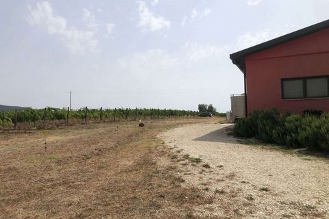 Farm hus i Scansano, Grosseto, Scansano - € 1.200.000 | Ref: A7631TA2014348A-1070691 - foto 11