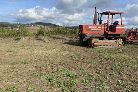 Farm hus i Scansano, Grosseto, Scansano - € 1.200.000 | Ref: A7631TA2014348A-1070691 - foto 19