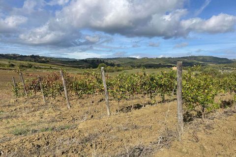 Farm hus i Scansano, Grosseto, Scansano - € 1.200.000 | Ref: A7631TA2014348A-1070691 - foto 20