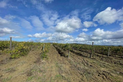 Farm hus i Scansano, Grosseto, Scansano - € 1.200.000 | Ref: A7631TA2014348A-1070691 - foto 25