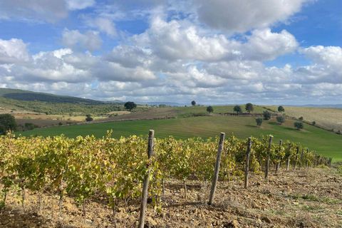 Farm hus i Scansano, Grosseto, Scansano - € 1.200.000 | Ref: A7631TA2014348A-1070691 - foto 26