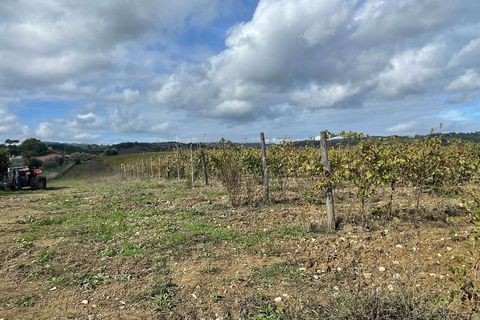 Farm hus i Scansano, Grosseto, Scansano - € 1.200.000 | Ref: A7631TA2014348A-1070691 - foto 28