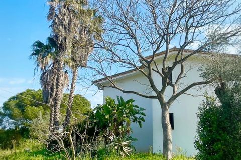 Villa a Maglie, Lecce, Maglie - € 240.000 | Ref: 240BAGNOLO - foto 3