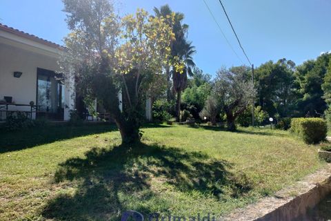 Villa a Maglie, Lecce, Maglie - € 240.000 | Ref: 240BAGNOLO - foto 4