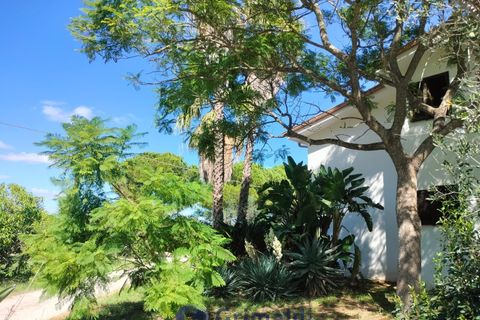 Villa a Maglie, Lecce, Maglie - € 240.000 | Ref: 240BAGNOLO - foto 5