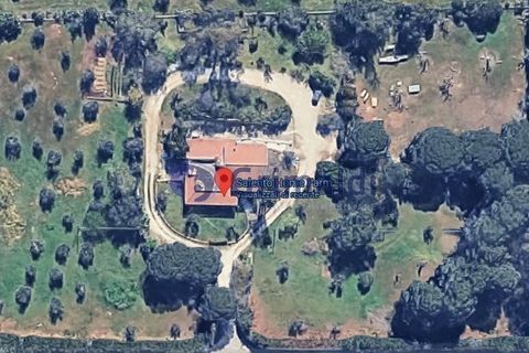 Villa a Maglie, Lecce, Maglie - € 240.000 | Ref: 240BAGNOLO - foto 18