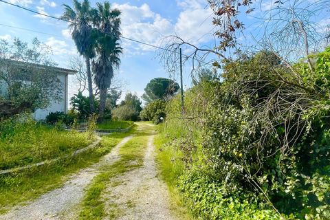 Villa a Maglie, Lecce, Maglie - € 240.000 | Ref: 240BAGNOLO - foto 27
