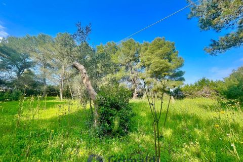 Villa a Maglie, Lecce, Maglie - € 240.000 | Ref: 240BAGNOLO - foto 31