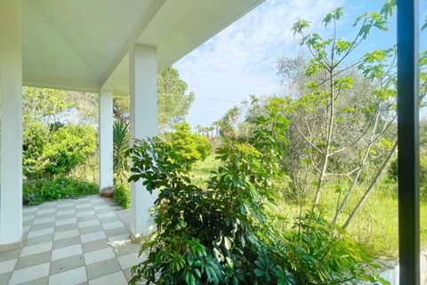 Villa a Maglie, Lecce, Maglie - € 240.000 | Ref: 240BAGNOLO - foto 32