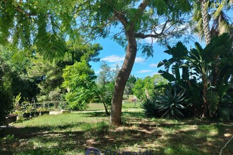 Villa a Maglie, Lecce, Maglie - € 240.000 | Ref: 240BAGNOLO - foto 33