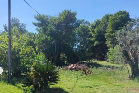Villa a Maglie, Lecce, Maglie - € 240.000 | Ref: 240BAGNOLO - foto 38