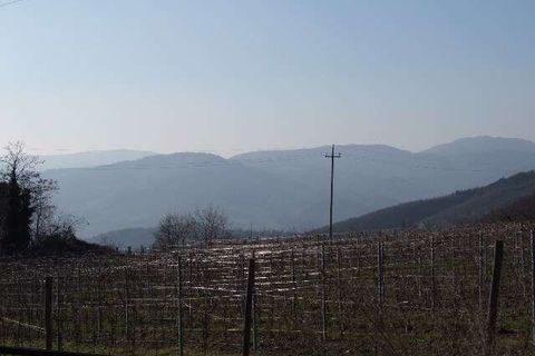 Farm hus i Rufina, Florence, Rufina - € 800.000 | Ref: A6273RC770758A-1070807 - foto 4