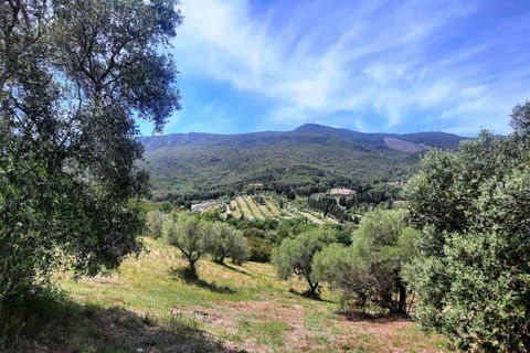 Helårsgrund i Monte Argentario, Grosseto, Monte Argentario - € 2.900.000 | Ref: A1190TG14015-1070843 - foto 13