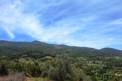 Helårsgrund i Monte Argentario, Grosseto, Monte Argentario - € 2.900.000 | Ref: A1190TG14015-1070843 - foto 14