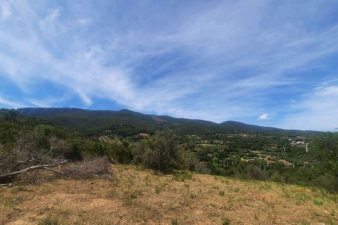 Helårsgrund i Monte Argentario, Grosseto, Monte Argentario - € 2.900.000 | Ref: A1190TG14015-1070843 - foto 16