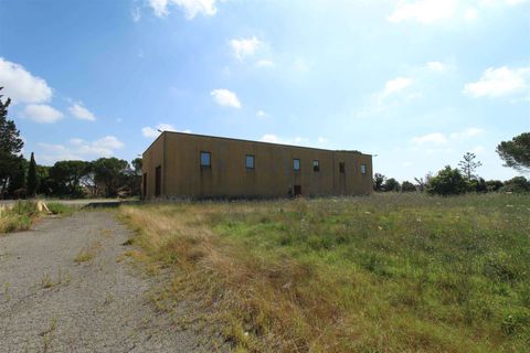 Farm hus i Asciano, Siena, Asciano - € 980.000 | Ref: A6292RA2393890A-1071022 - foto 15