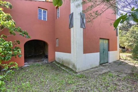 Farm hus i Rosignano Marittimo, Livorno, Rosignano Marittimo - € 790.000 | Ref: A3165TA1928531A-1071186 - foto 4