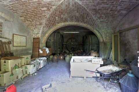 Farm hus i Rosignano Marittimo, Livorno, Rosignano Marittimo - € 790.000 | Ref: A3165TA1928531A-1071186 - foto 14