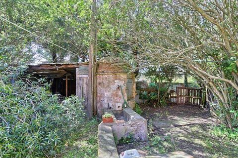 Farm hus i Rosignano Marittimo, Livorno, Rosignano Marittimo - € 790.000 | Ref: A3165TA1928531A-1071186 - foto 17