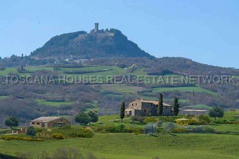 Farm hus i Radicofani, Siena, Radicofani - € 450.000 | Ref: A1190RC2881-1071276 - foto 1