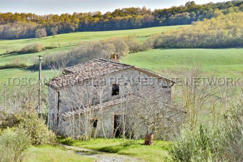 Farm hus i Radicofani, Siena, Radicofani - € 450.000 | Ref: A1190RC2881-1071276 - foto 13