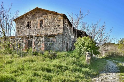 Farm hus i Radicofani, Siena, Radicofani - € 450.000 | Ref: A1190RC2881-1071276 - foto 15