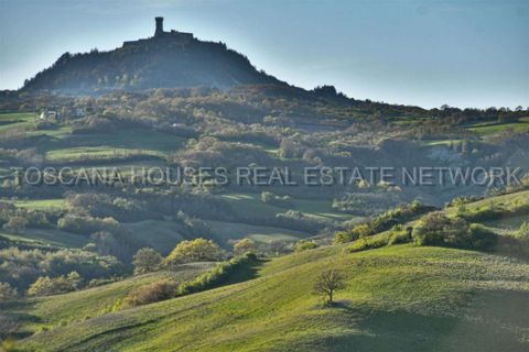 Farm hus i Radicofani, Siena, Radicofani - € 450.000 | Ref: A1190RC2881-1071276 - foto 16