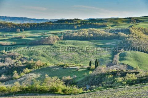 Farm hus i Radicofani, Siena, Radicofani - € 450.000 | Ref: A1190RC2881-1071276 - foto 17