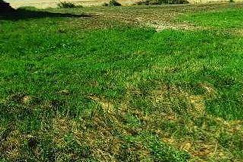 Farm hus i Pienza, Siena, Pienza - € 450.000 | Ref: A2617RC1763489A-1071296 - foto 21
