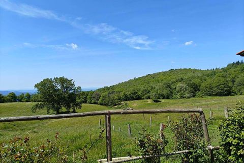 Villa i Pontassieve, Florence, Pontassieve - € 950.000 | Ref: A6273RV2478734A-1071515 - foto 2