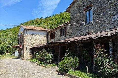 Villa i Pontassieve, Florence, Pontassieve - € 950.000 | Ref: A6273RV2478734A-1071515 - foto 17