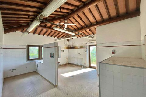 Farm hus i Reggello, Florence, Reggello - € 750.000 | Ref: A6273RC2525049A-1072140 - foto 22