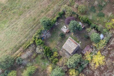 Farm hus i Volterra, Pisa, Volterra - € 300.000 | Ref: A1190RC29630-1072191 - foto 5