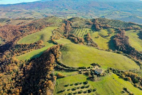 Farm hus i Cinigiano, Grosseto, Cinigiano - € 625.000 | Ref: A6455TA2553239A-1072231 - foto 10