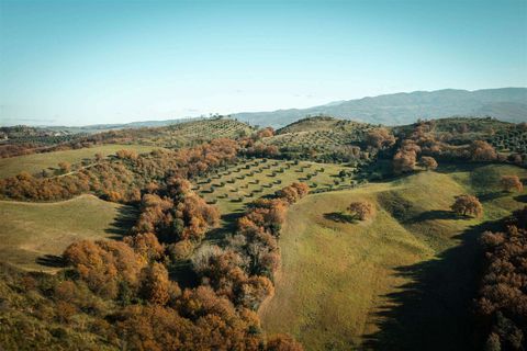 Farm hus i Cinigiano, Grosseto, Cinigiano - € 625.000 | Ref: A6455TA2553239A-1072231 - foto 11