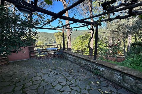 Farm hus i Roccastrada, Grosseto, Roccastrada - € 1.590.000 | Ref: A7631TA2405993A-1072386 - foto 15