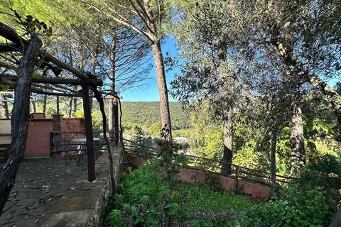 Farm hus i Roccastrada, Grosseto, Roccastrada - € 1.590.000 | Ref: A7631TA2405993A-1072386 - foto 16