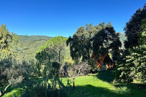 Farm hus i Roccastrada, Grosseto, Roccastrada - € 1.590.000 | Ref: A7631TA2405993A-1072386 - foto 22