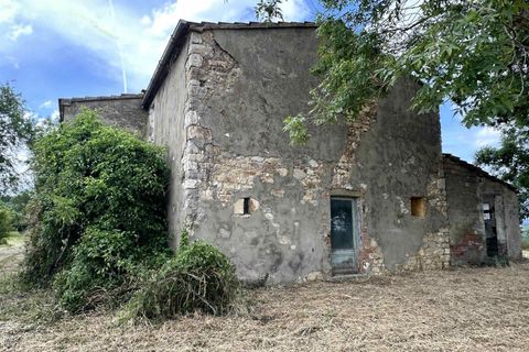Farm hus i Scansano, Grosseto, Scansano - € 650.000 | Ref: A7631TA2269242A-1072580 - foto 7