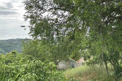 Farm hus i Scansano, Grosseto, Scansano - € 650.000 | Ref: A7631TA2269242A-1072580 - foto 17