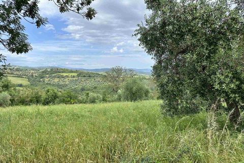 Farm hus i Scansano, Grosseto, Scansano - € 650.000 | Ref: A7631TA2269242A-1072580 - foto 19